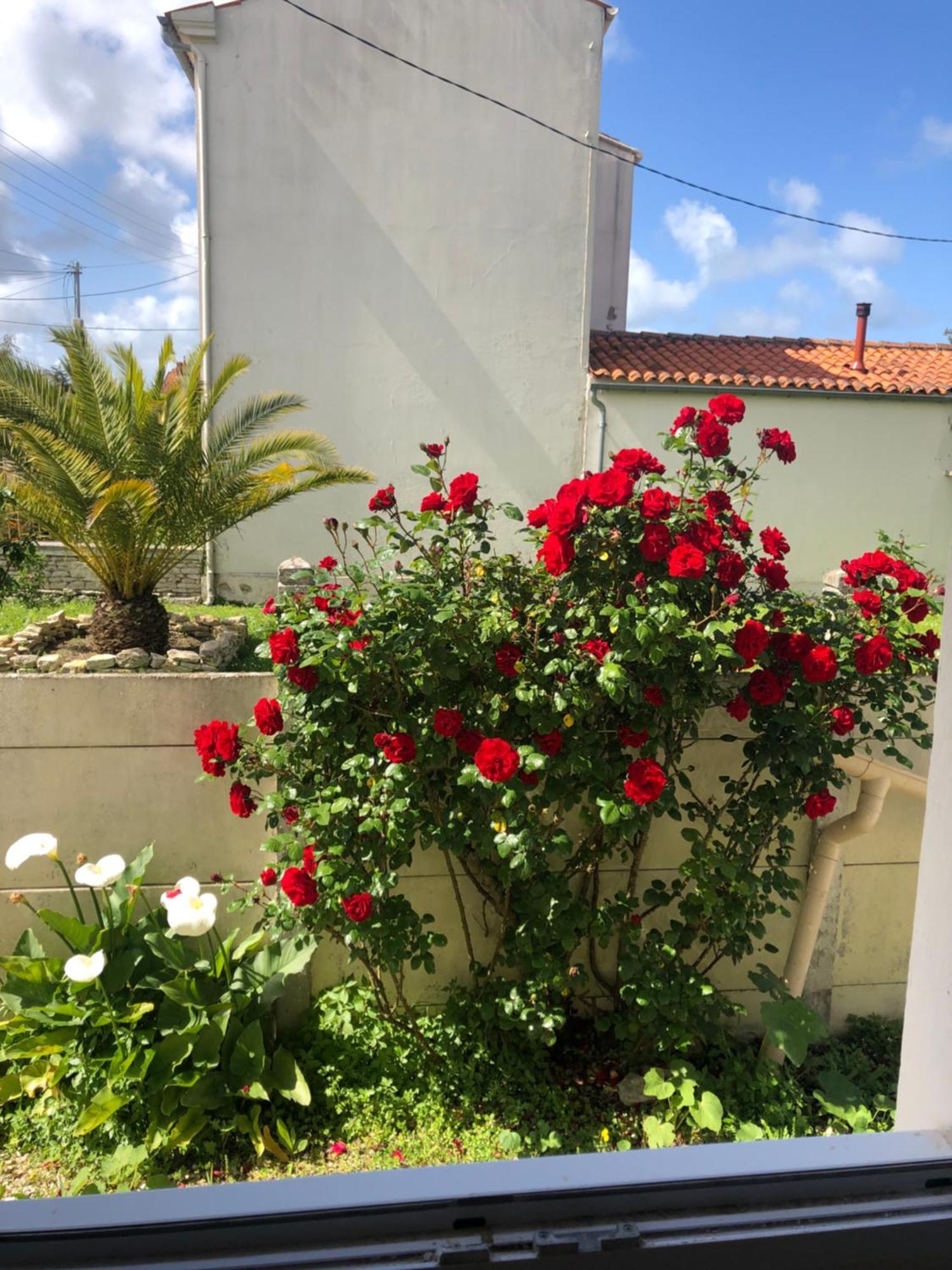 La Sirene Grand-Village-Plage Exterior foto